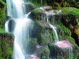 West Coast Waterfall- Tourism New Zealand