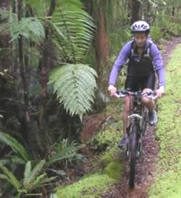 mountain biking the Tiropahi Track