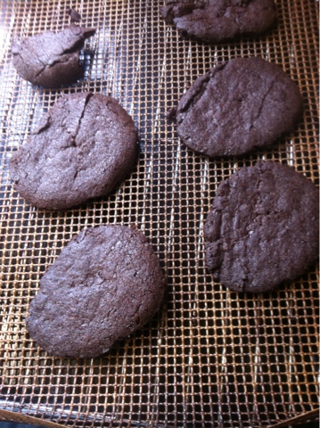 Chocolate Sable Biscuits