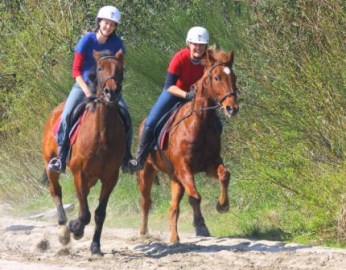 Horse trekkingWest Coast