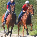 Enjoy exciting horse riding when staying at Birds Ferry Lodge - horses for all levels of ability nearby on the West Coast of New Zealand