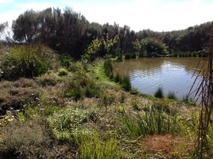 Luxury accommodation Punakaiki West Coast New Zealand