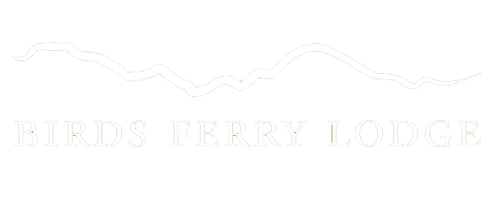 Birds-ferry-logo-500x200-Transparent
